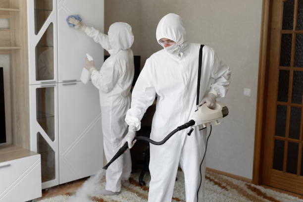 Best Mold Damage Repair  in Fort Lauderdale, FL